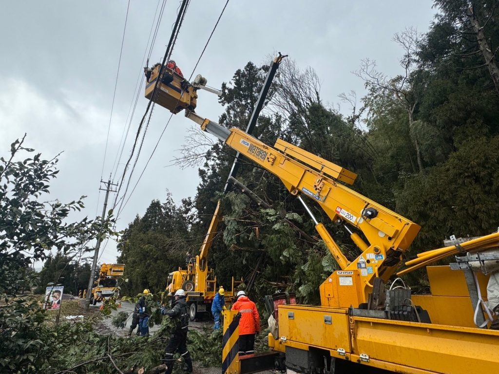 道路上の倒木をクレーンで釣り上げている。手前には高所作業車がアームを伸ばしている。