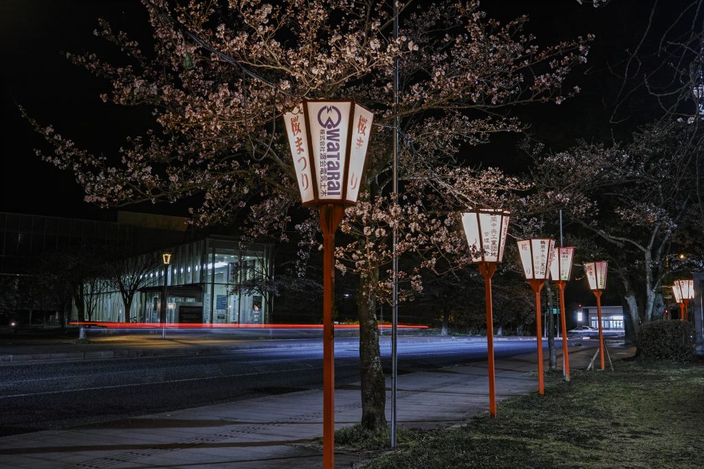 夜桜の下に渡会電気土木の社名ロゴが入ったぼんぼりが光っている。