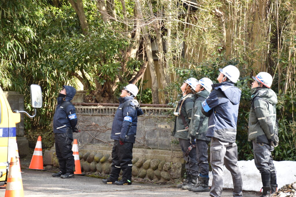 現場の方々と一緒に見ている様子