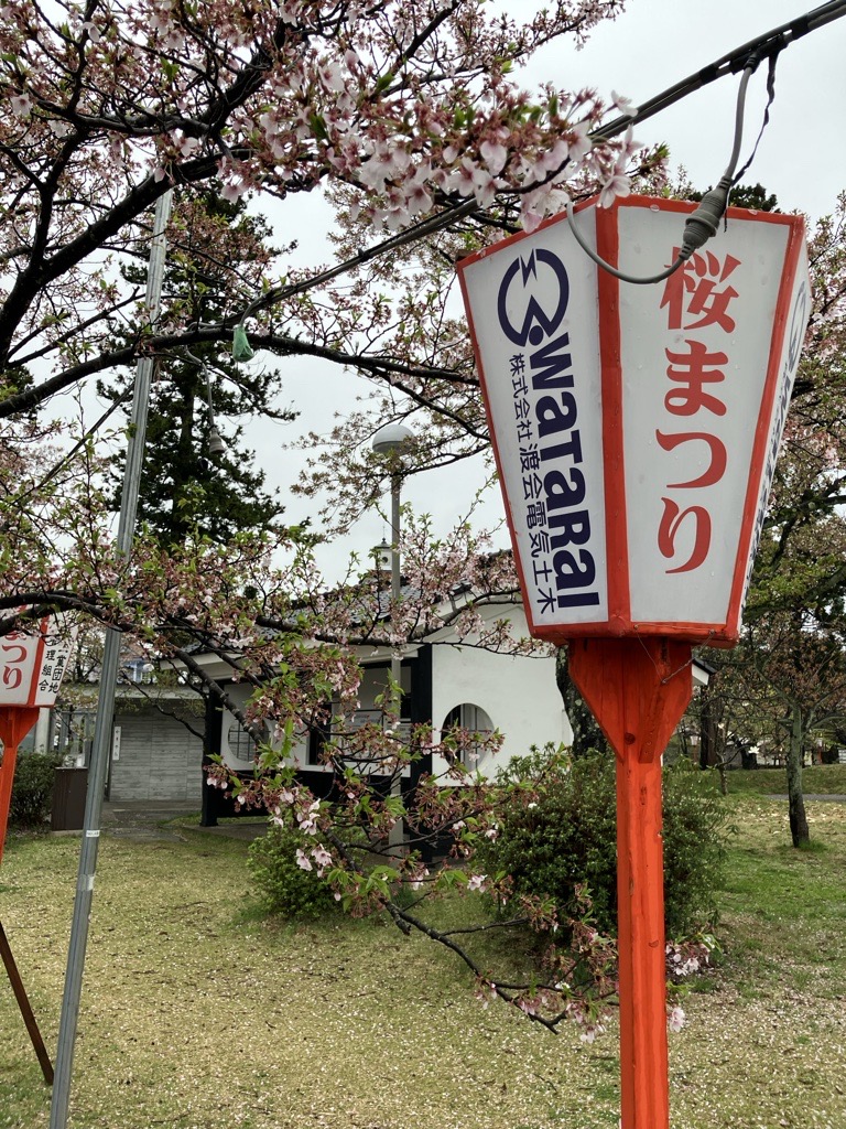 昨年のぼんぼりの写真